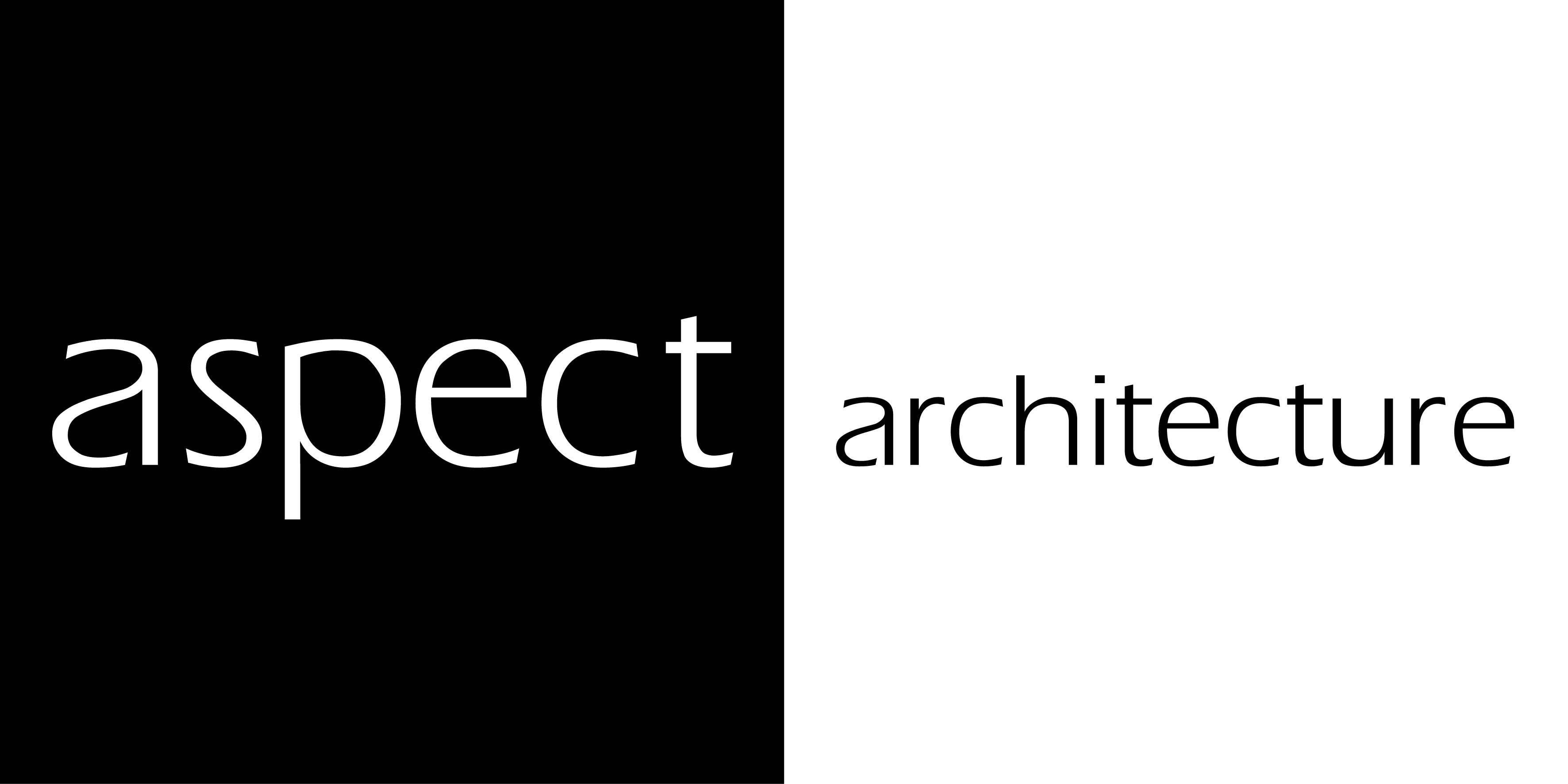 Aspect Logo (300mm X 150mm) Print