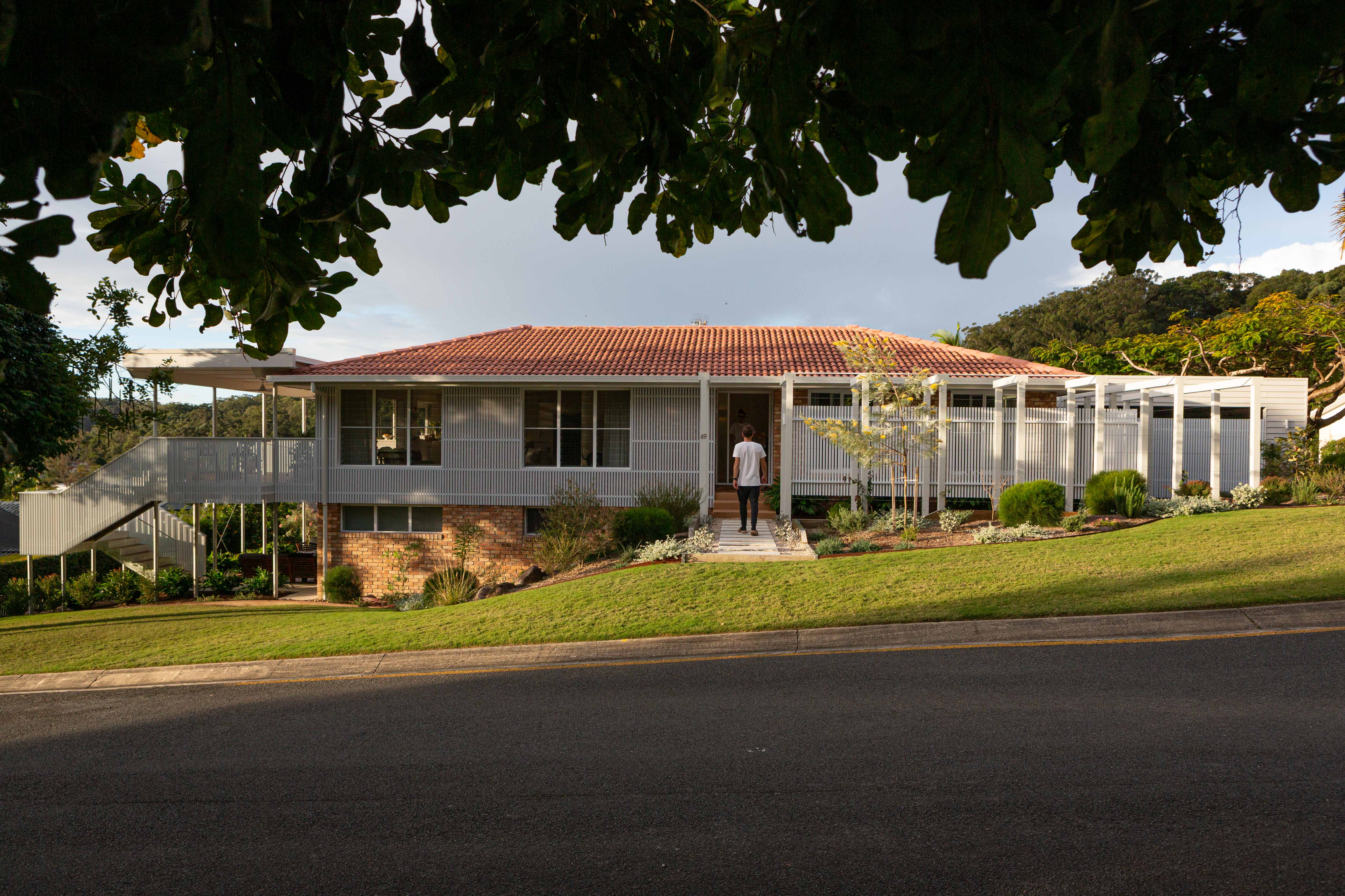 Old Dog New Tricks Cover Image